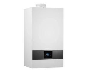 BUDERUS Logamax plus  GB172i.2-25 W H